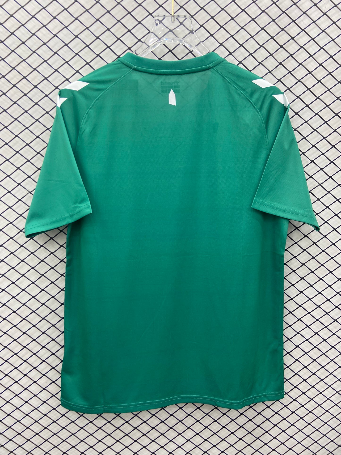 24/25 Everton Limited Edition Green Shirt