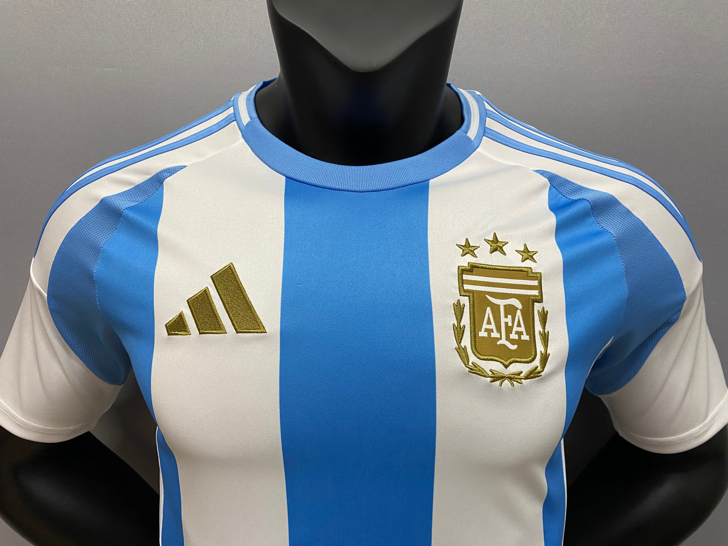 24/25 Argentina home jersey