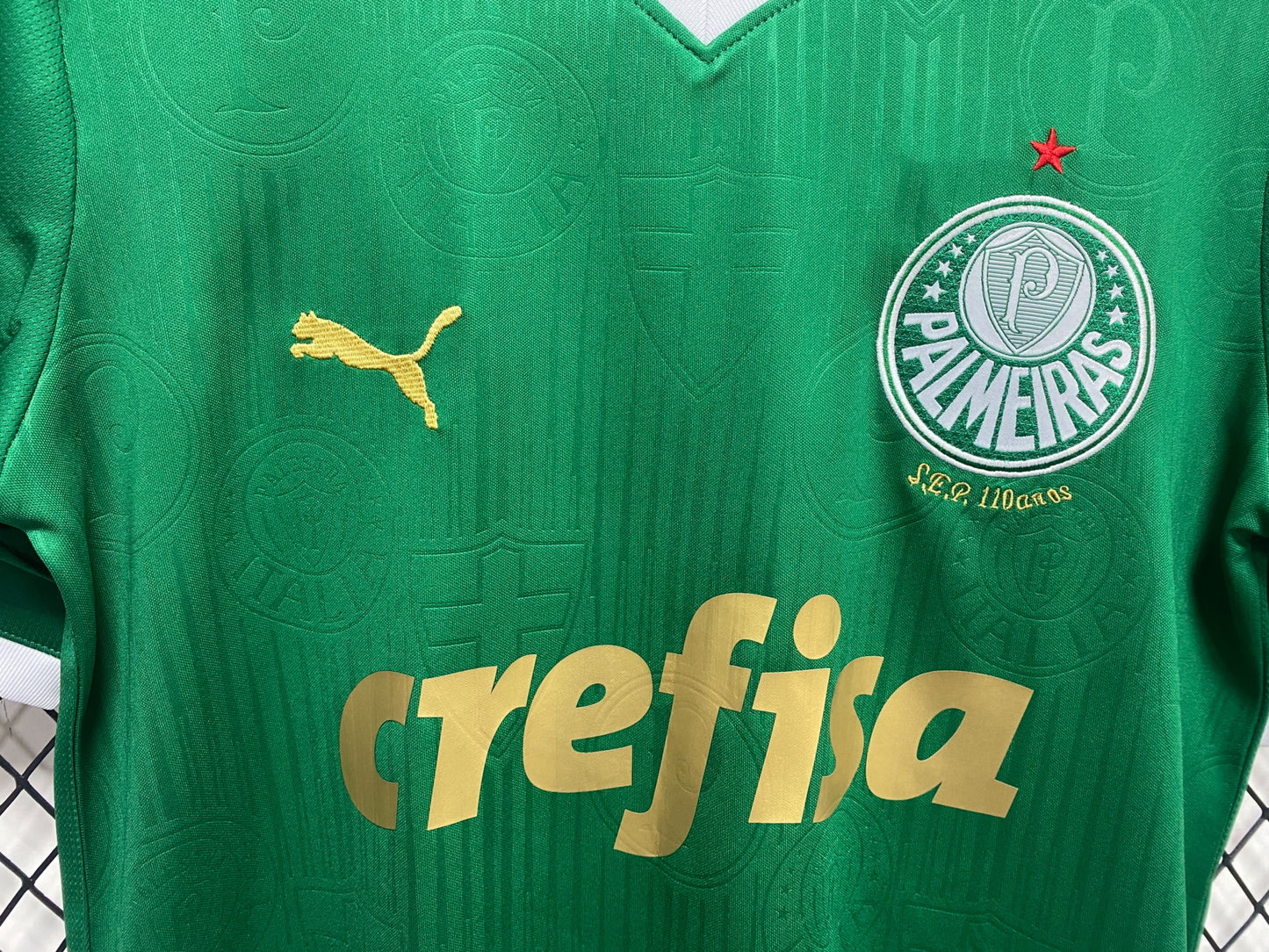 24/25 Palmeiras home jersey